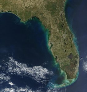 In this satellite image, bloom of the toxic alga Karenia brevis is visible along the west coast of Florida